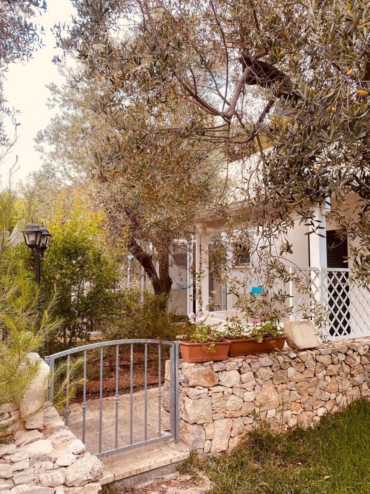 B&B Quasimare Porto Cesareo Zewnętrze zdjęcie