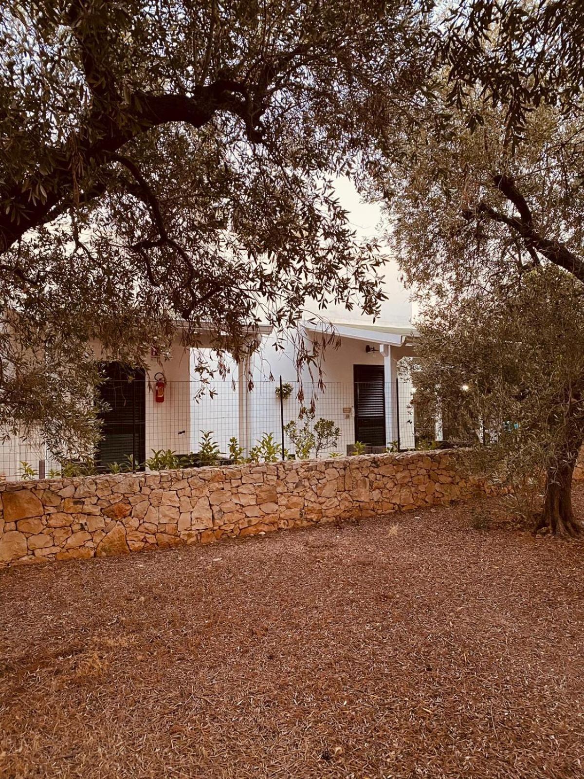 B&B Quasimare Porto Cesareo Zewnętrze zdjęcie